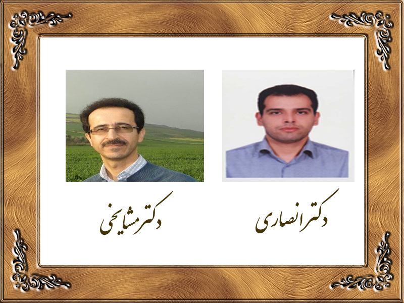 تصویر کوچک